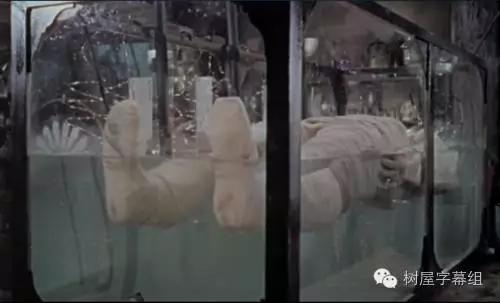 弗兰肯斯坦恐怖片,弗兰肯斯坦fate是哪一季