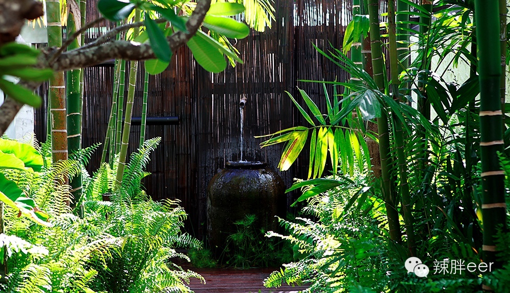 冬天旅行去温暖的地方,冬天旅行最好的时光