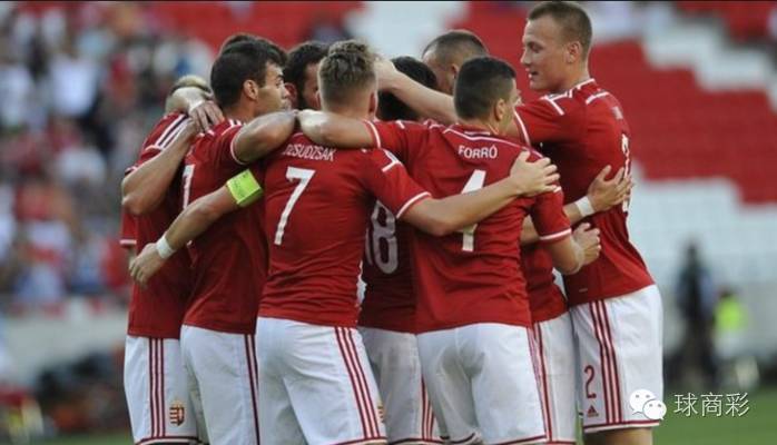 欧洲杯24强巡礼之匈牙利,2016欧洲杯葡萄牙vs匈牙利完整版