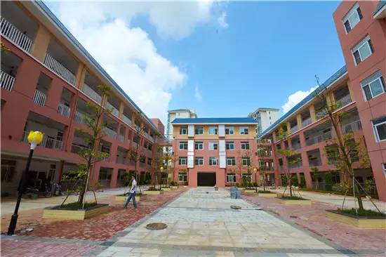 公告青秀区新添四所公办小学，今年九月招生（玉兰路小学、百花岭路小学、民主路小学佛子岭路校区、林里桥中段小学）