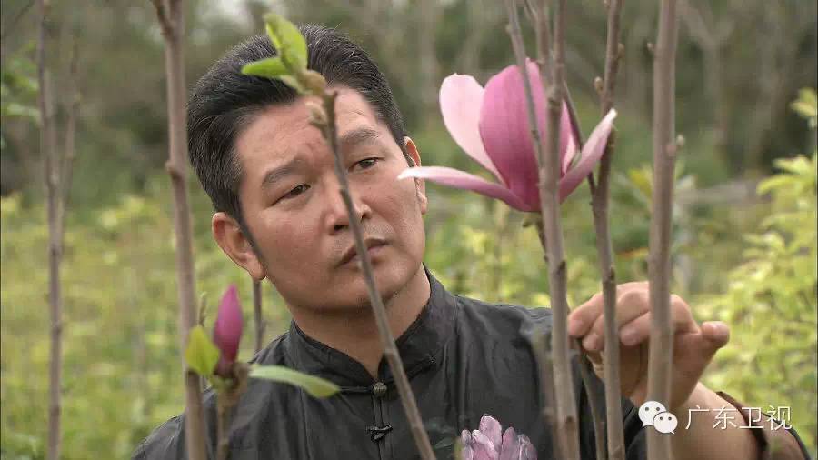 广东卫视出品的纪录片好评不断，再获三个国家级嘉奖！