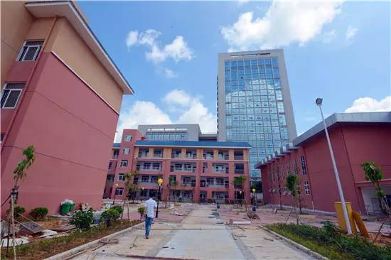 公告青秀区新添四所公办小学，今年九月招生（玉兰路小学、百花岭路小学、民主路小学佛子岭路校区、林里桥中段小学）