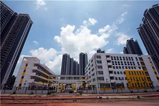 公告青秀区新添四所公办小学，今年九月招生（玉兰路小学、百花岭路小学、民主路小学佛子岭路校区、林里桥中段小学）