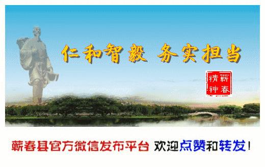 蕲艾文化节,蕲春第30届蕲艾文化节