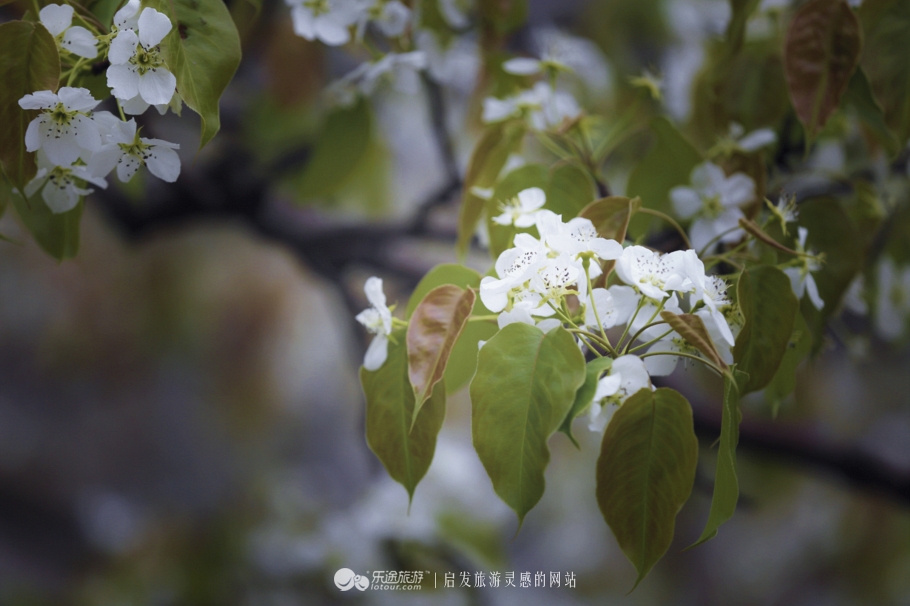 閭d釜杩滄柟鐨勪綘,閭d釜杩滄柟鏄皝鍞辩殑
