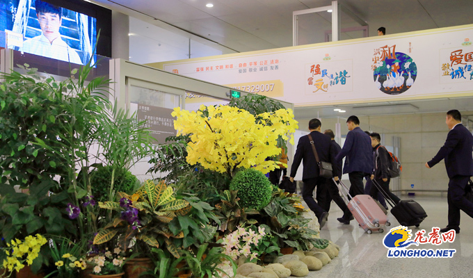 赏遍世界花草南京禄口国际机场发布赏花飞行线路