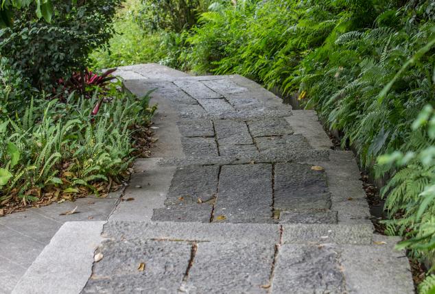 外出踏青正当时,帽峰山森林公园踏青