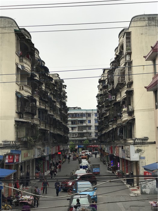 乱逛|曾经我总是跟着大人赶犀浦