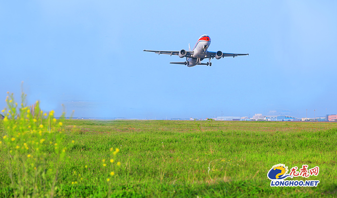 赏遍世界花草南京禄口国际机场发布赏花飞行线路
