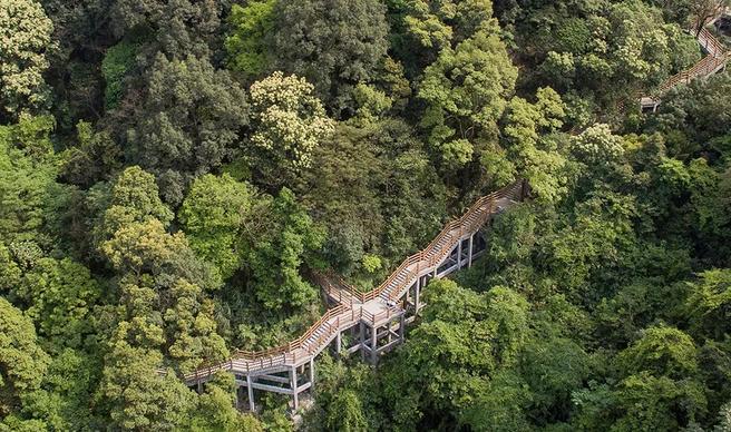 外出踏青正当时,帽峰山森林公园踏青