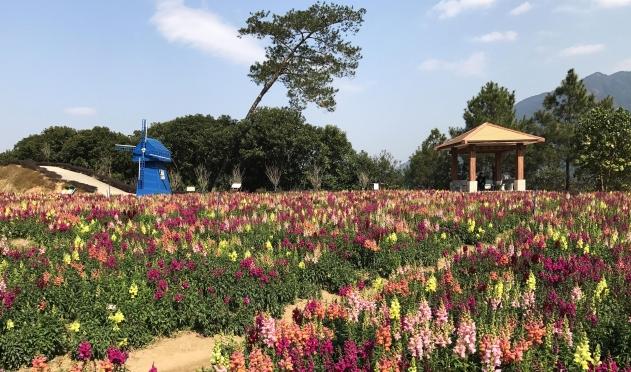 外出踏青正当时,帽峰山森林公园踏青