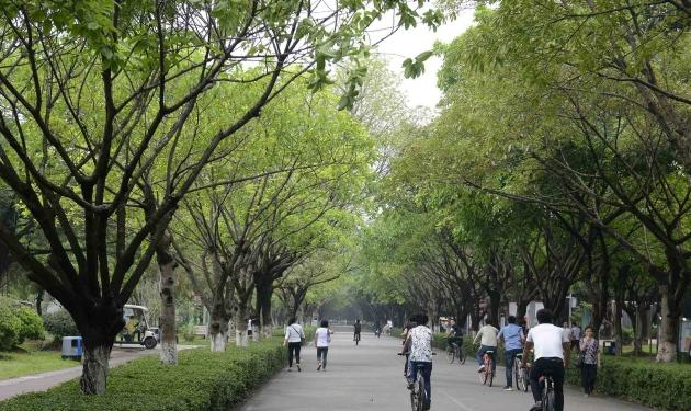 外出踏青正当时,帽峰山森林公园踏青