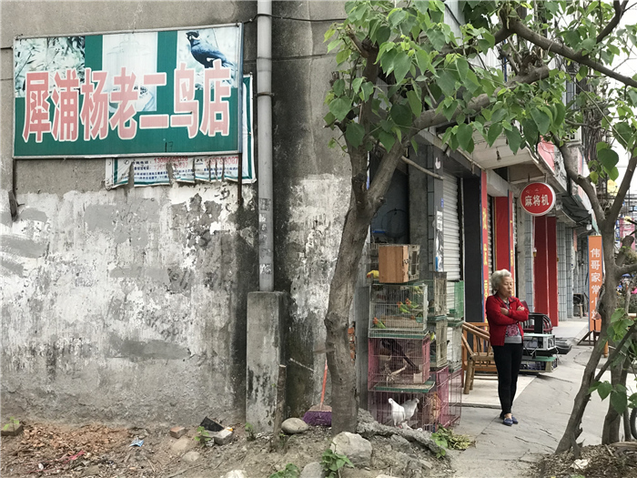 乱逛|曾经我总是跟着大人赶犀浦