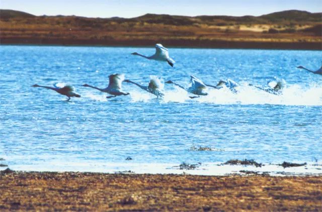 扎鲁特旗山地草原风景,内蒙古通辽市扎鲁特旗草原