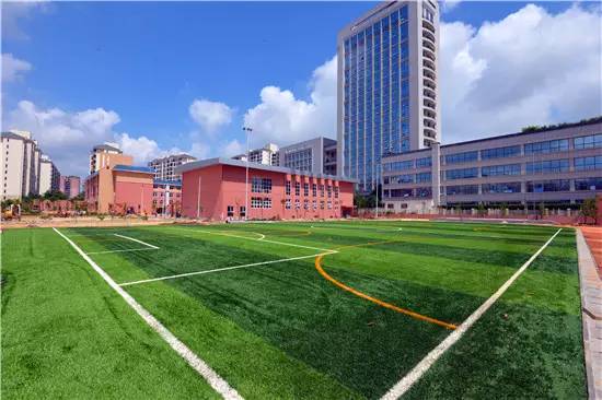 公告青秀区新添四所公办小学，今年九月招生（玉兰路小学、百花岭路小学、民主路小学佛子岭路校区、林里桥中段小学）