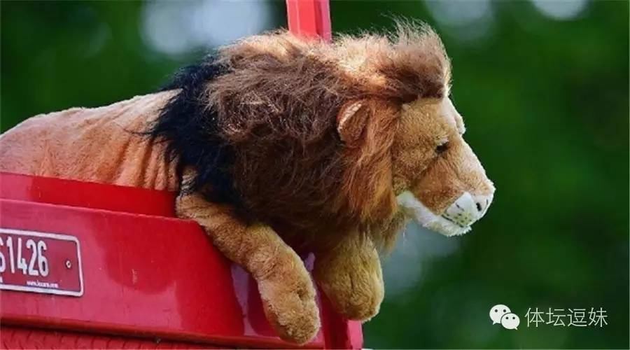 欧洲杯聊足球视频,欧洲杯趣闻