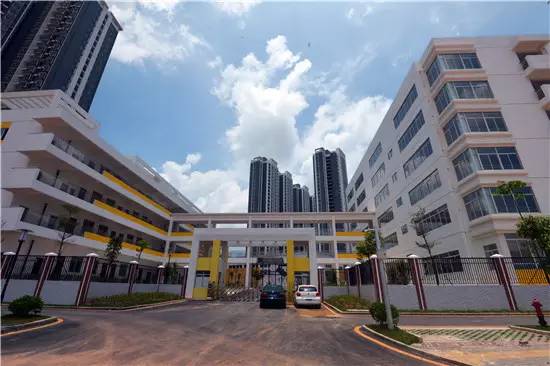 公告青秀区新添四所公办小学，今年九月招生（玉兰路小学、百花岭路小学、民主路小学佛子岭路校区、林里桥中段小学）