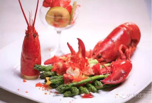 人气直追小龙虾的加拿大龙虾，关于它的干货都在这里