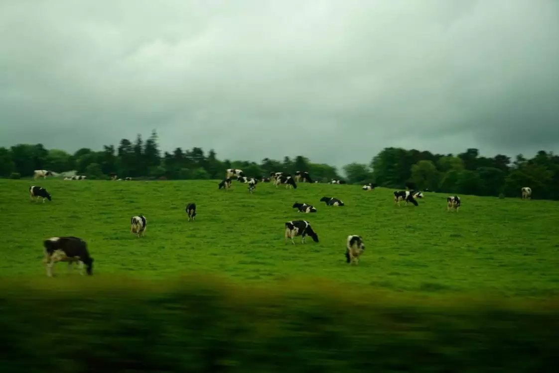 我意外发现治疗咽喉炎的妙方