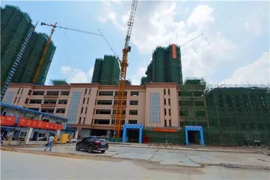 公告青秀区新添四所公办小学，今年九月招生（玉兰路小学、百花岭路小学、民主路小学佛子岭路校区、林里桥中段小学）