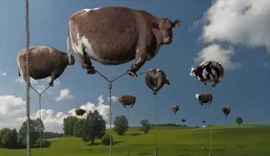 除了开飞机，飞行员有哪些逆天的生活技能？|随身差旅