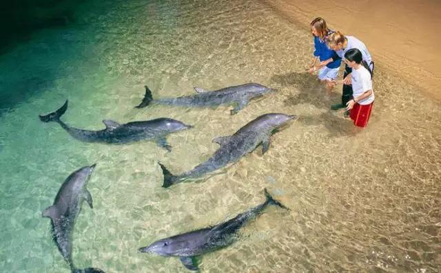 必须去旅游的地方,必须出去旅游的理由