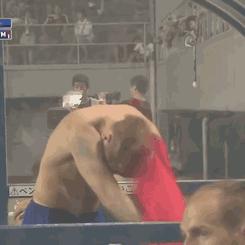 欧洲杯看球论坛,欧洲杯新手球迷知识