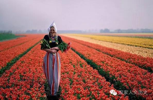 欧洲强队足球排名,欧洲杯球队都有哪些称号