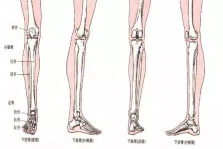 小腿前面疼痛还能继续跑步吗？