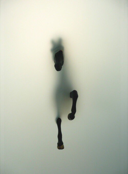 妄想症心理问题怎么解决,妄想症心理治疗有用吗