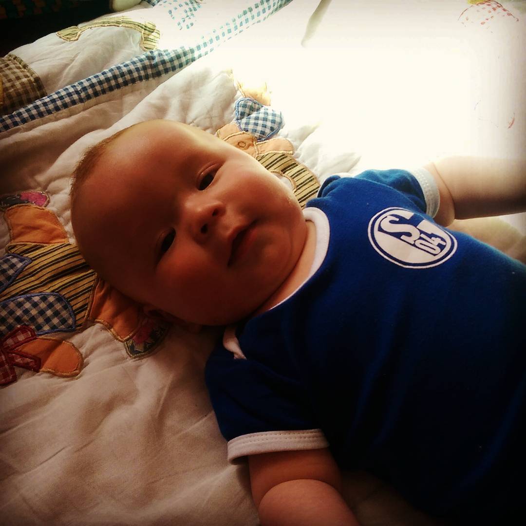 表白爱意谁家强？沙尔克04的“矿粉”们已经无法阻挡了