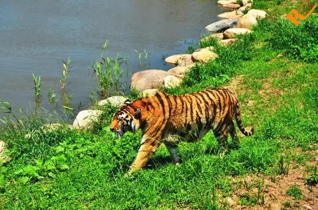 上海地铁10号线各站点有哪些景点,上海地铁沿线风景点