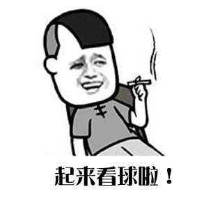 欧洲杯伪球迷必看,欧洲足球联赛扫盲