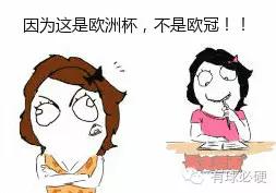 欧洲杯比赛球谜冲入赛场会怎么样,大赛迷是什么意思