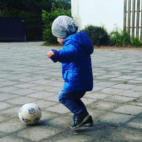 表白爱意谁家强？沙尔克04的“矿粉”们已经无法阻挡了