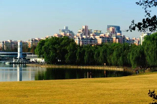 上海地铁10号线各站点有哪些景点,上海地铁沿线风景点
