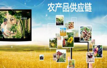 深度解读｜农民合作社如何融入农产品供应链？