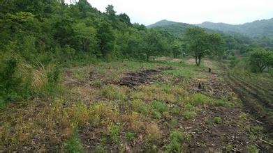 农村土地证是怎样的,农村土地办理国有土地证要钱吗