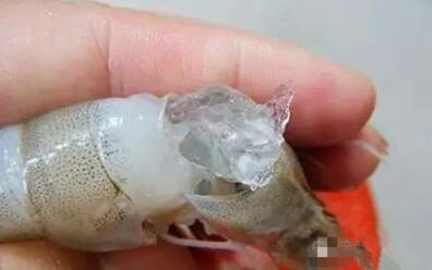 你吃的虾可能打了胶！简直令人发指，看吐了