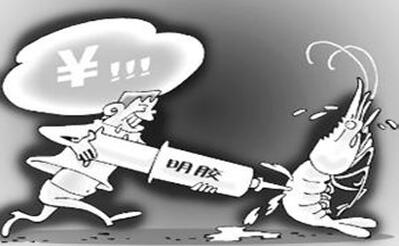 你吃的虾可能打了胶！简直令人发指，看吐了