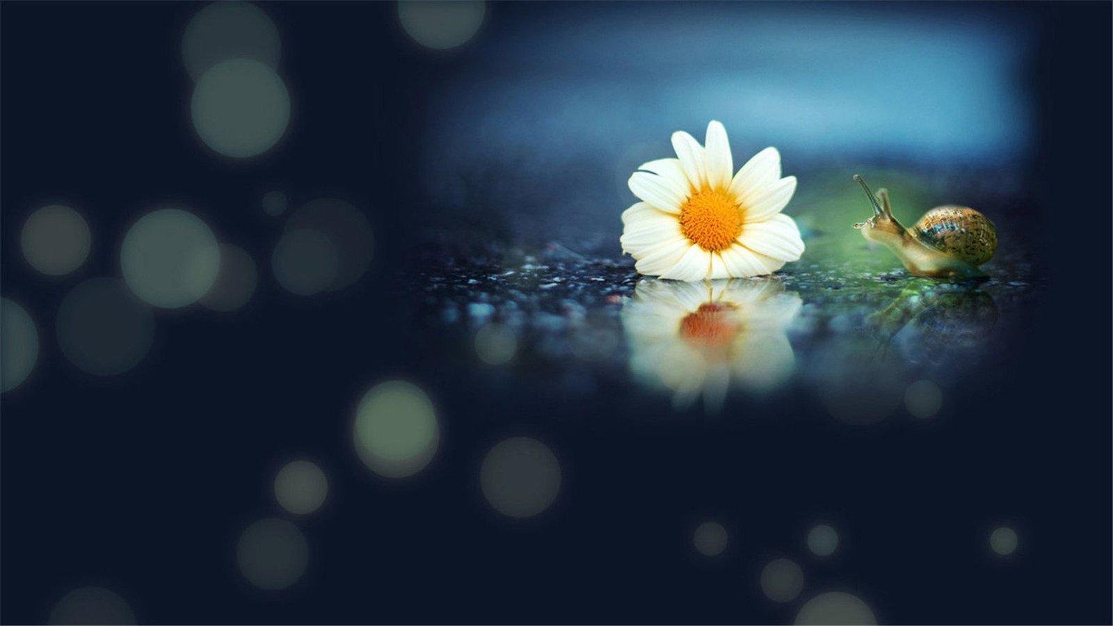 咨询个案怎么做,咨询心理学叙事案例