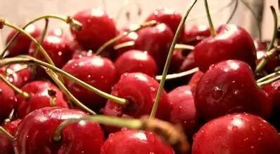 欧洲杯来了西班牙克罗地亚,欧洲杯伪球迷的狂欢又开始了