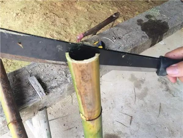 自制月季花架竹子,竹子自制拱门花架教程