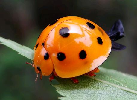 常见黑斑产生的6大因素，了解才能更好解决