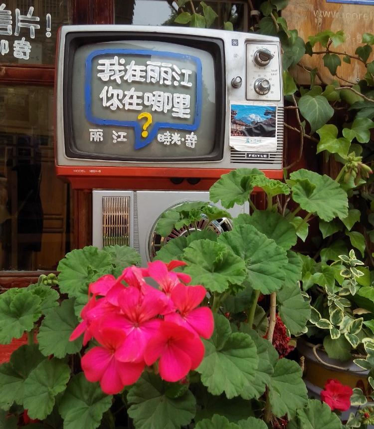 想和你去一次丽江,等一个人陪我去丽江旅游