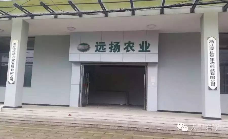 仙县仙女仙叶----青钱柳考察记—糖尿病患者的福音