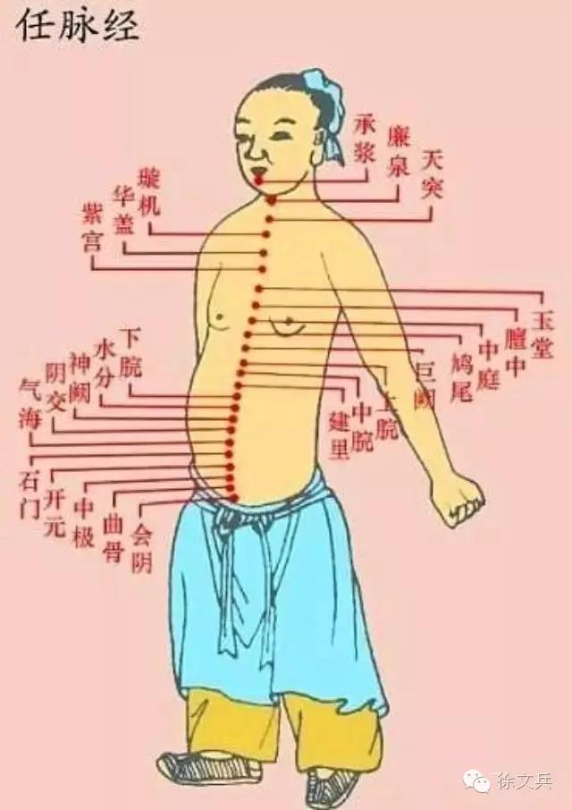 字里藏医书籍,字里藏医全文及解释