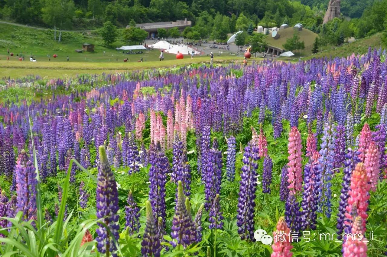 在这些TOPCITY，带着Baby也能过个完美的假期