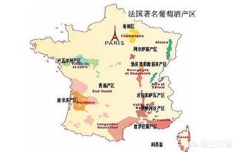 真酒假酒最简便科学的鉴别方法,葡萄酒如何鉴别真酒假酒