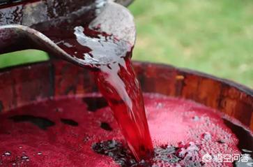 真酒假酒最简便科学的鉴别方法,葡萄酒如何鉴别真酒假酒